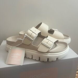 Papillio Arizona Chunky